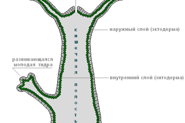 Кракен сайт маркет